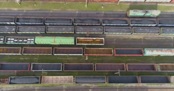 Vista dall'alto verso il basso dei treni merci al deposito ferroviario. Treni merci alla vista del deposito dal drone — Video Stock