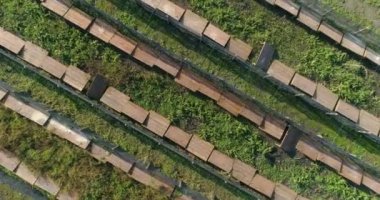 Salyangoz çiftliği hava manzarası. Salyangoz çiftliği manzaralı. Salyangoz çiftliğinin üzerinden uç