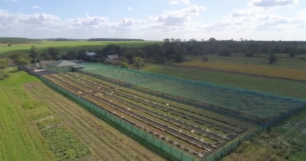 Agricultura vista superior. Belos campos bem tratados vista superior. Vista superior da fazenda — Vídeo de Stock