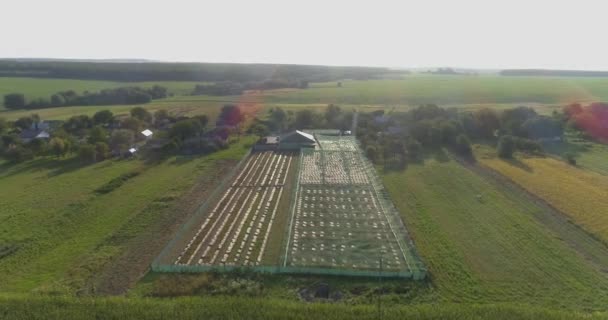 Lítat nad šnečí farmou. Pohled ze šnečí farmy. Pohled shora na šnečí farmu. — Stock video