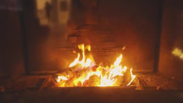 La leña arde en la chimenea. Fuego en la chimenea. Hermosa chimenea con madera — Vídeos de Stock