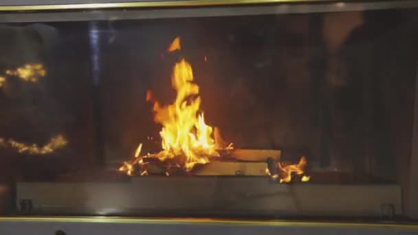 Firewood is burning in the fireplace. Fire in the fireplace. Beautiful fireplace with wood — Stock Video