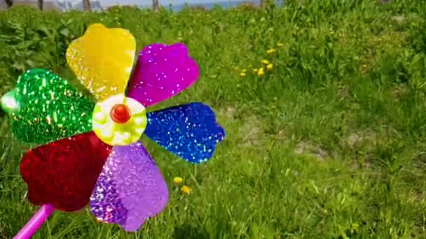 Molino de viento para niños sobre un fondo de hierba verde. Molino de viento colorido para niños — Vídeos de Stock