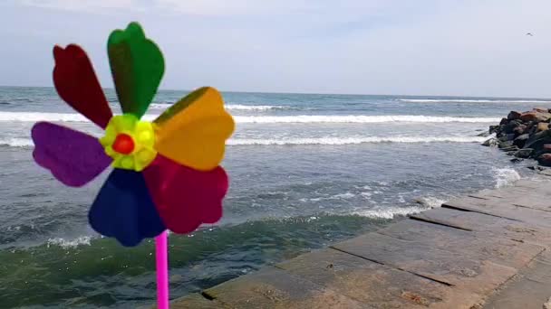 Um moinho de vento colorido infantil está girando na praia. Moinho de vento infantil no mar. Moinho de vento infantil — Vídeo de Stock