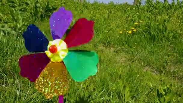 子供のカラフルな風車。緑の草を背景にした風車. — ストック動画