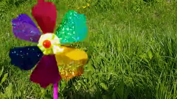 Molino de viento colorido para niños. Molino de viento para niños sobre un fondo de hierba verde. — Vídeos de Stock