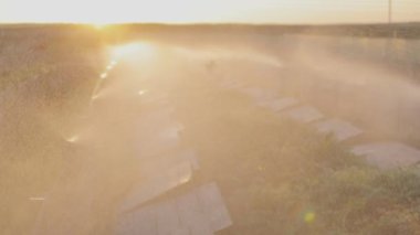 Çiftlikteki sulama sisteminin işi. Salyangoz çiftliğinde sulama işlemi. Sulama sistemi