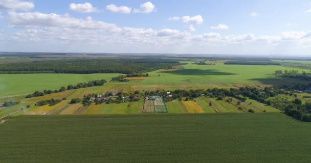 Smukke velplejede marker top udsigt. Landbrugsmarkerne luftfoto. Bondegårdsudsigt. Landbrug topvisning. – Stock-video