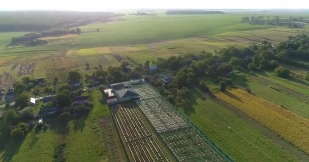 Равликова ферма вид зверху. Літати над равликовою фермою. Політ над фермою на заході сонця . — стокове відео