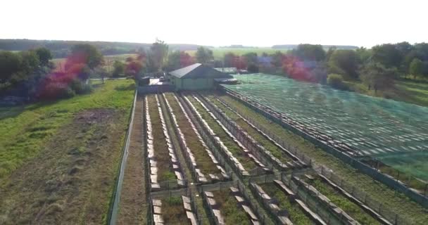 Survolez une ferme d'escargots. Escargot ferme vue aérienne. Escargot ferme vue du dessus. — Video