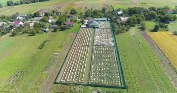 Agricultura industrial de caracoles. Volando sobre una granja de caracoles. Creciendo caracoles al aire libre vista superior. — Vídeo de stock