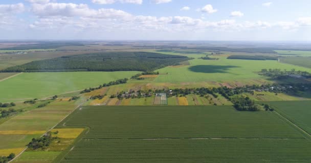 Agricultura vista superior. Hermosos campos bien arreglados vista superior. Granja vista superior — Vídeos de Stock