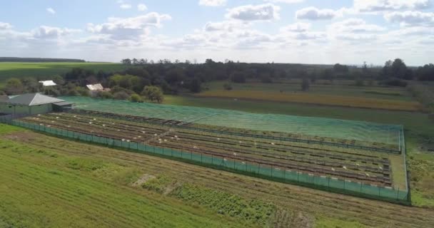 Agricultura industrial de caracóis. Voando sobre uma fazenda de caramujos. Crescendo caracóis ao ar livre vista superior. — Vídeo de Stock