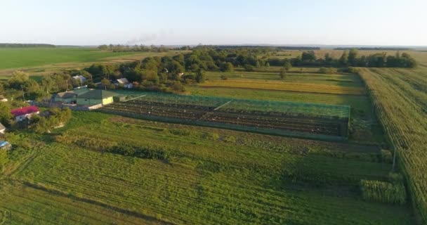 Landbouwluchtbeeld. Boerderij vanuit de lucht. Vlieg over een kleine lucht op het platteland. Kleine boerderij op het platteland bij zonsondergang. — Stockvideo
