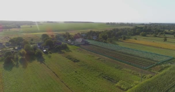 Vlieg over een kleine lucht op het platteland. Kleine boerderij op het platteland bij zonsondergang. Landbouwluchtbeeld. Boerderij vanuit de lucht — Stockvideo