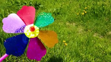 Yeşil çimenli arka planda çocuklar yel değirmeni. Çocuklar renkli yel değirmeni