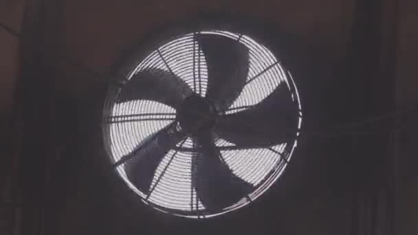Grotere ventilatoren voor ventilatie van industrieterreinen. Ventilatie in de productie — Stockvideo