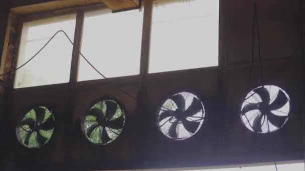 Ventiladores maiores para ventilação de instalações industriais. Ventilação na produção — Vídeo de Stock
