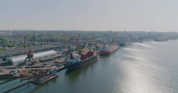 Porto marittimo industriale dall'aria. Piano generale del porto marittimo internazionale dal cielo — Video Stock