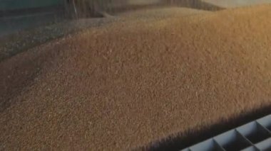 Kamyondan depoya yavaş çekimde buğday boşaltımı, depoya ağır çekimde buğday yüklemesi.