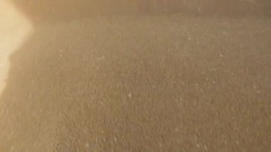 Tahıl, asansörde depolamak için kamyondan boşaltıldı.