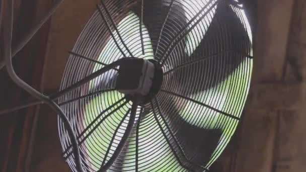 Close-up of fans in a factory. Ventilation of the workshop with industrial fans close-up — Stock Video