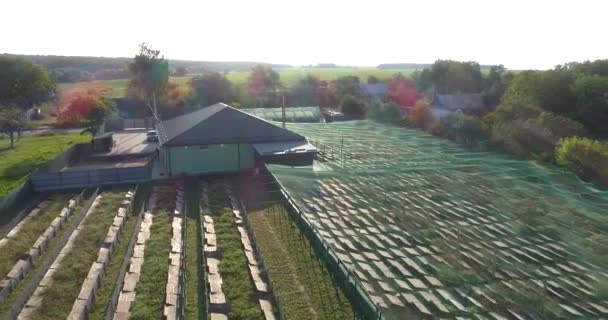 Η φάρμα με τα σαλιγκάρια έχει θέα από ψηλά. Πετάξτε πάνω από μια φάρμα σαλιγκαριών. Πετώντας πάνω από το αγρόκτημα στο ηλιοβασίλεμα. — Αρχείο Βίντεο