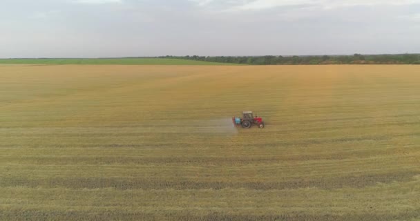 En traktor sprøjter hvede med herbicider. Traktoren sprøjter hvedemarkerne. Sprøjter en mark med hvedeudsigt fra en drone – Stock-video