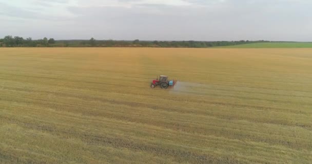 Gran campo de trigo vista drone. Un tractor rocía un campo de trigo, una vista superior. Protección de los campos contra las plagas — Vídeos de Stock