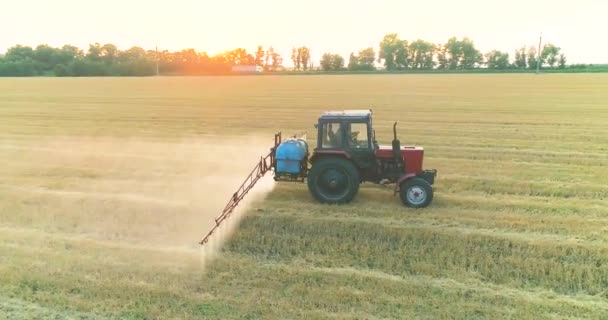 コムギ畑に農薬を散布する。小麦でフィールドの害虫からの保護。トラクタースプレー小麦ドローンビュー — ストック動画