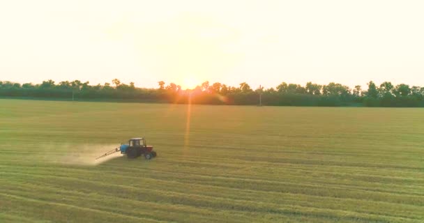Un tractor rocía un campo de trigo, una vista superior. Gran campo de trigo vista drone. Protección de los campos contra las plagas — Vídeo de stock