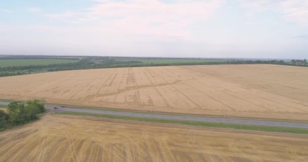 小麦のフィールドは、道路の航空ビューの横にある。車のカラフルな小麦のフィールドの横に高速道路。道路の隣の小麦畑を飛び越える — ストック動画