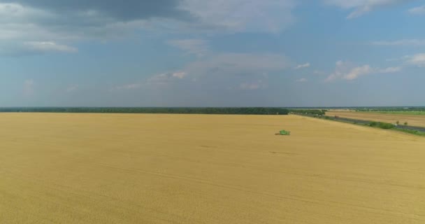 A colheitadeira moderna colhe trigo da vista do drone de campo. Colheita de campo de trigo vista superior. A colheitadeira coleta trigo. — Vídeo de Stock