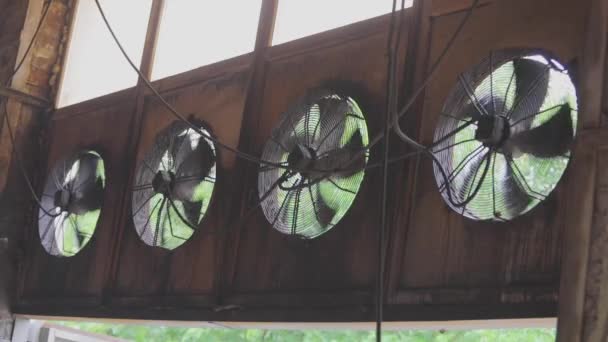 There are many industrial fans in the factory. Ventilation of the workshop at the factory — Stock Video