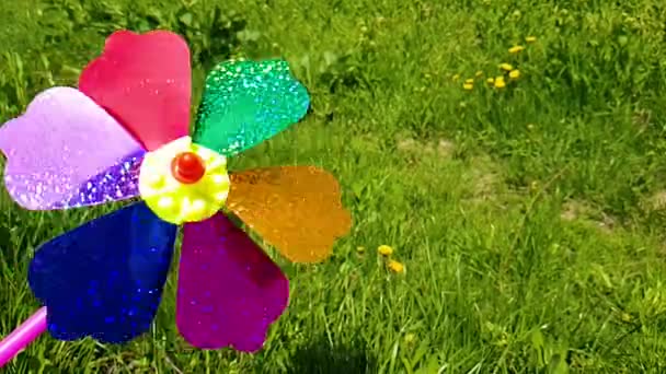 Kleurrijke windmolen voor kinderen. Kinderwindmolen op een achtergrond van groen gras. — Stockvideo