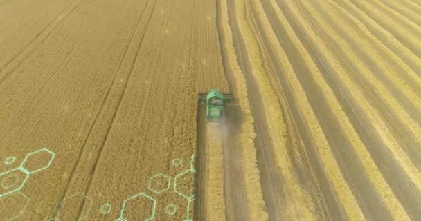 Digitalización de la agricultura. Combine la cosechadora que trabaja en la vista aérea de campo. Concepto de agricultura futurista — Vídeo de stock