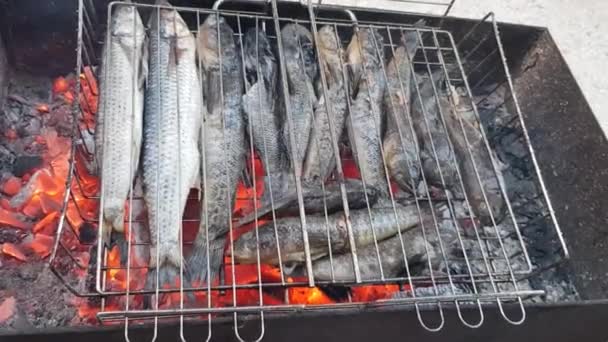 Le processus de grillage du poisson. Griller du poisson. Poisson frit sur le gril gros plan. Le poisson est frit sur des charbons chauds. Le poisson est frit sur une grille — Video