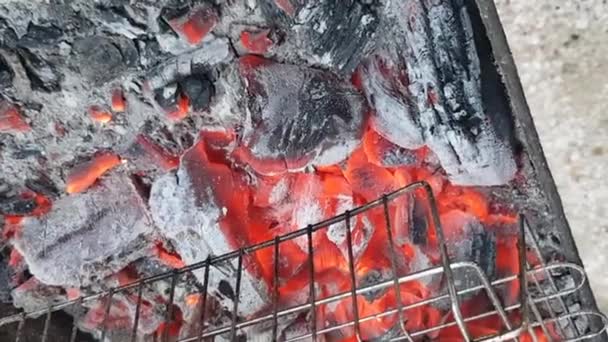 Processen för att grilla fisk. Grillar fisk. Fisk stekt på grillen närbild. Fisken är stekt över glödande kol. Fisk är stekt på ett galler — Stockvideo