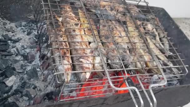 烤鱼的过程。烤鱼。烤架上的鱼被炸了。鱼在炽热的煤块上油炸了.鱼在网格上被炸了 — 图库视频影像