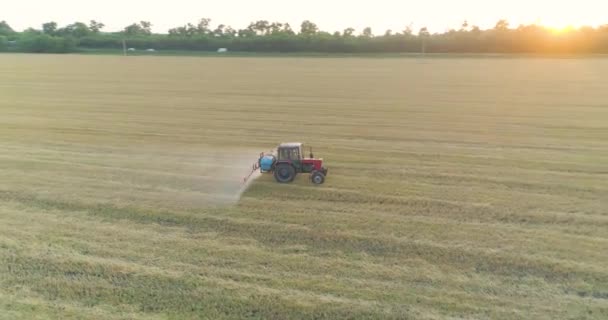 Een veld besproeien met uitzicht op tarwe van een drone. Een tractor besproeit tarwe met herbiciden. De trekker sproeit de tarwevelden. — Stockvideo