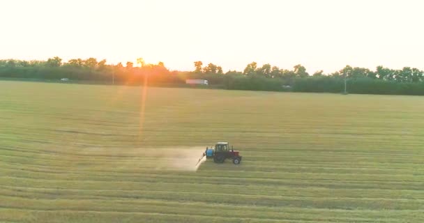 Verwerking van een tarweveld met pesticiden. Zicht van een drone. Tractor behandelt tarweveld met pesticiden — Stockvideo