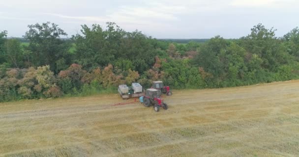 Tractor treats wheat field with pesticides. Processing a wheat field with pesticides. View from a drone. — Stock Video