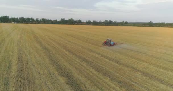 Um trator pulveriza trigo com herbicidas. O trator pulveriza os campos de trigo. Pulverizando um campo com vista de trigo de um drone — Vídeo de Stock