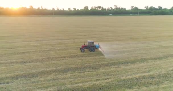 Pulverización de campos de trigo con pesticidas. Protección contra plagas del campo con trigo. Tractor pulveriza vista drone trigo — Vídeo de stock