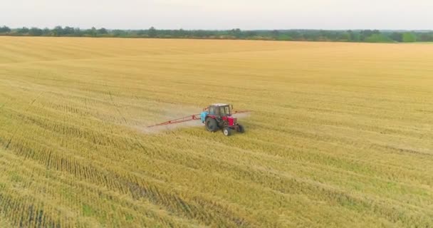 Rocía un campo con vista al trigo desde un dron. Un tractor rocía trigo con herbicidas. El tractor rocía los campos de trigo. — Vídeo de stock
