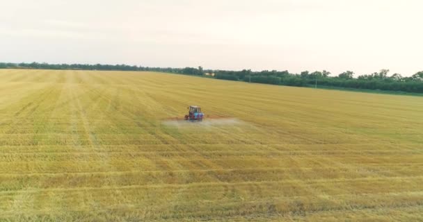 Spraying wheat fields with pesticides. Protection against pests of the field with wheat. Tractor sprays wheat drone view — Stock Video