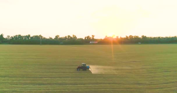 Felder vor Schädlingen schützen. Große Weizenfeld-Drohnen-Ansicht. Ein Traktor besprüht ein Weizenfeld, ein Blick von oben. — Stockvideo