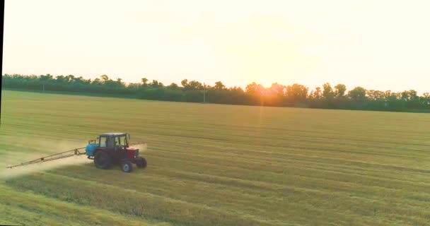 El tractor rocía los campos de trigo. Rocía un campo con vista al trigo desde un dron. Un tractor rocía trigo con herbicidas. — Vídeo de stock