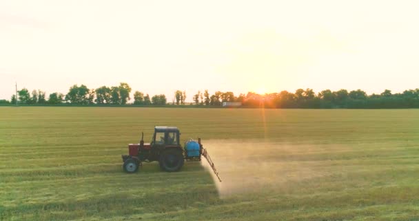 Der Traktor besprüht die Weizenfelder. Sprühen eines Feldes mit Weizenblick von einer Drohne aus. Ein Traktor versprüht Weizen mit Herbiziden.