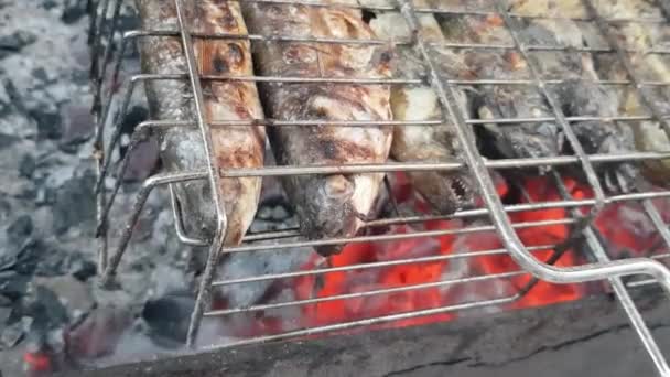 Processen för att grilla fisk. Grillar fisk. Fisk stekt på grillen närbild. Fisken är stekt över glödande kol. Fisk är stekt på ett galler — Stockvideo